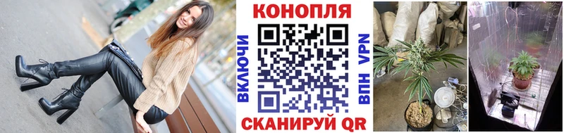 МАРИХУАНА конопля  Обоянь 
